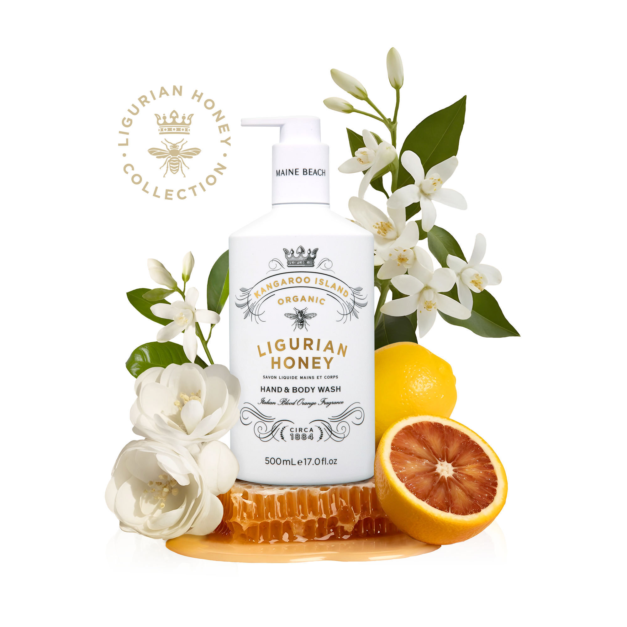 Kangaroo Island Ligurian Honey